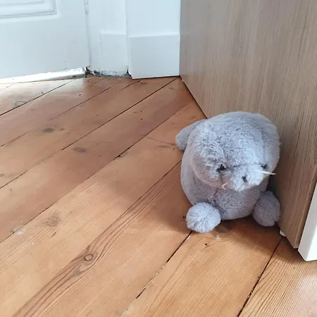 Meuble Tres Cosy A Proximite De Toutes Commodites Appartamento Rouen